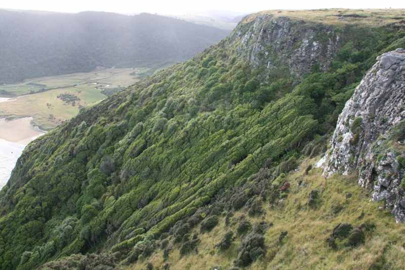 Nieuw-Zeeland 2011 - 1856